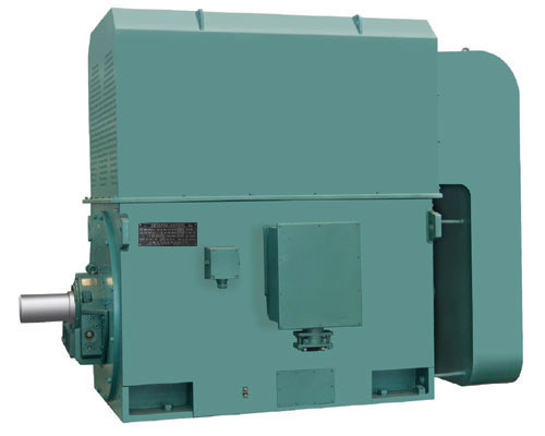 Y.YKK.YKS系列高壓三相異步電動機(jī)(H355～630)