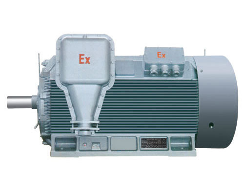 YB2系列緊湊型高壓隔爆型三相異步電動機(jī)(H355～560)